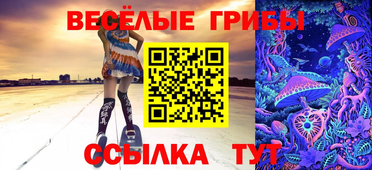 Галлюциногенные грибы прущие грибы  Вход с VPN  Мариинск 
