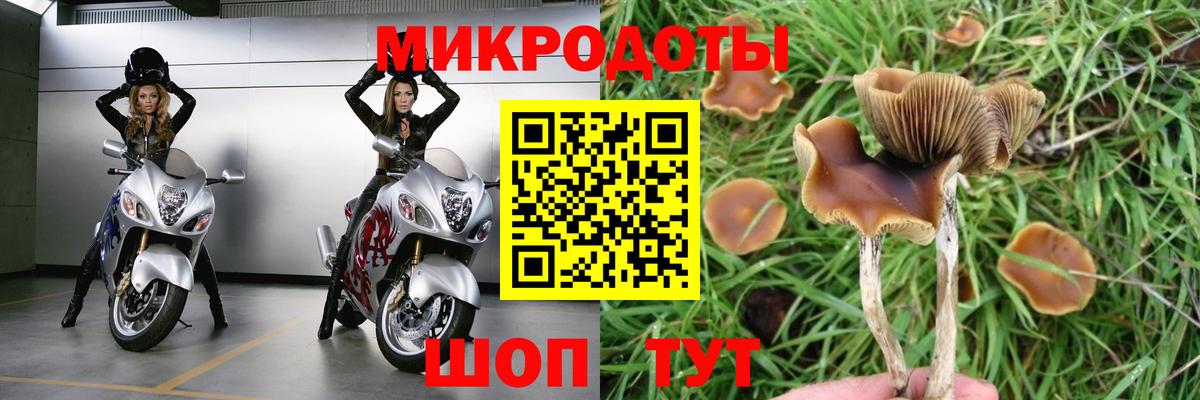 Псилоцибиновые грибы ЛСД Мариинск